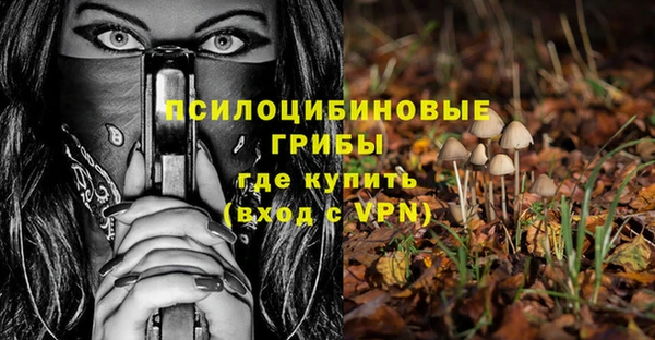ГАЛЛЮЦИНОГЕННЫЕ ГРИБЫ Верхнеуральск