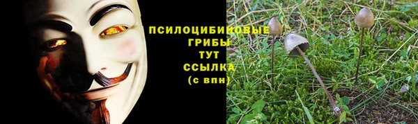 ешки Верея